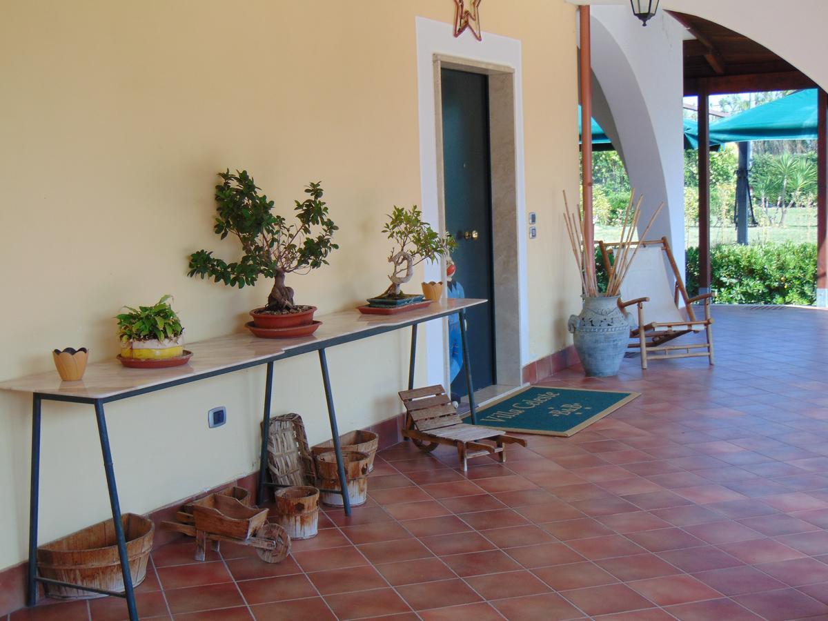 Villa Celeste B&B Pontecagnano Bagian luar foto