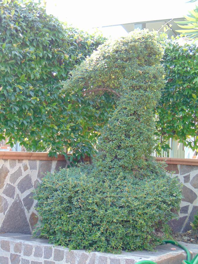 Villa Celeste B&B Pontecagnano Bagian luar foto